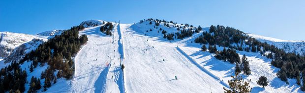 Masella